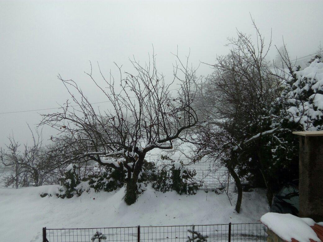 B K Guesthouse