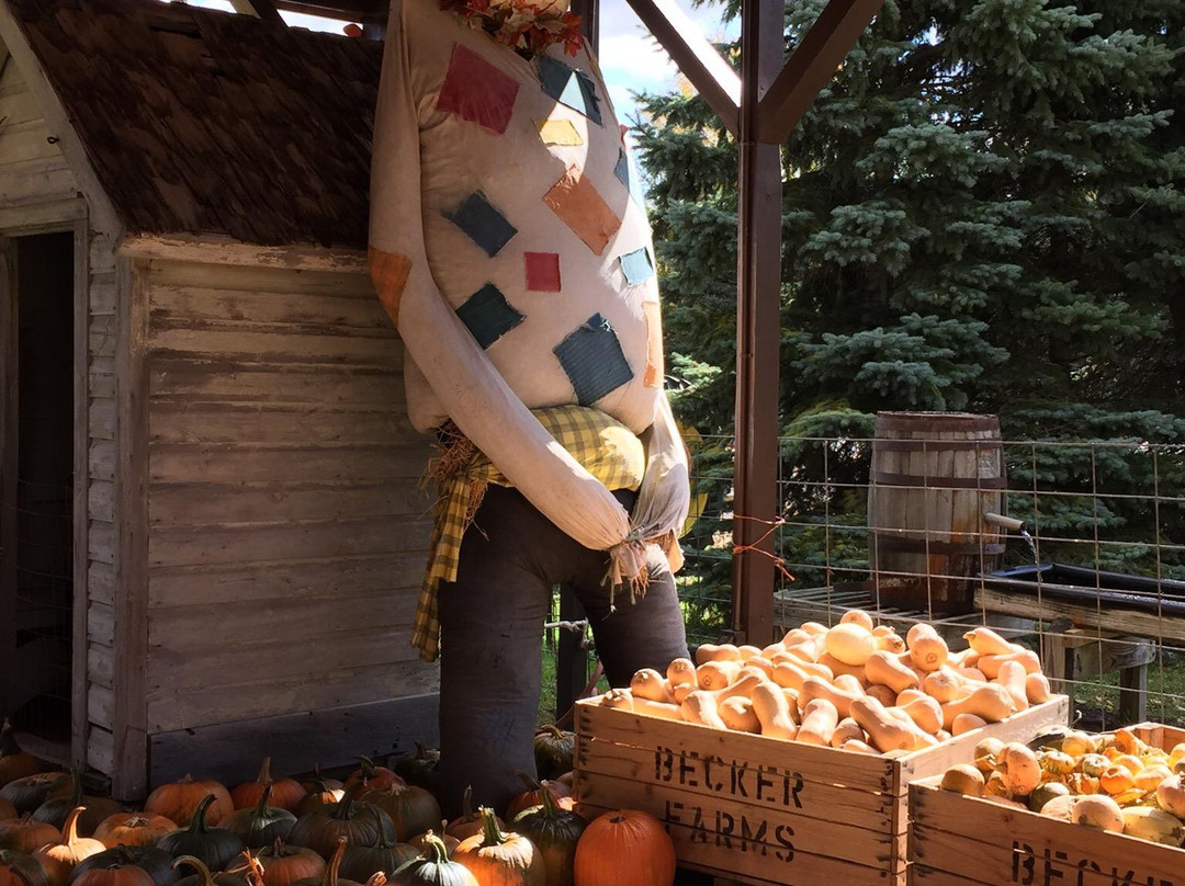 Middleport餐馆和美食-Becker Farms and Vizcarra Vineyards