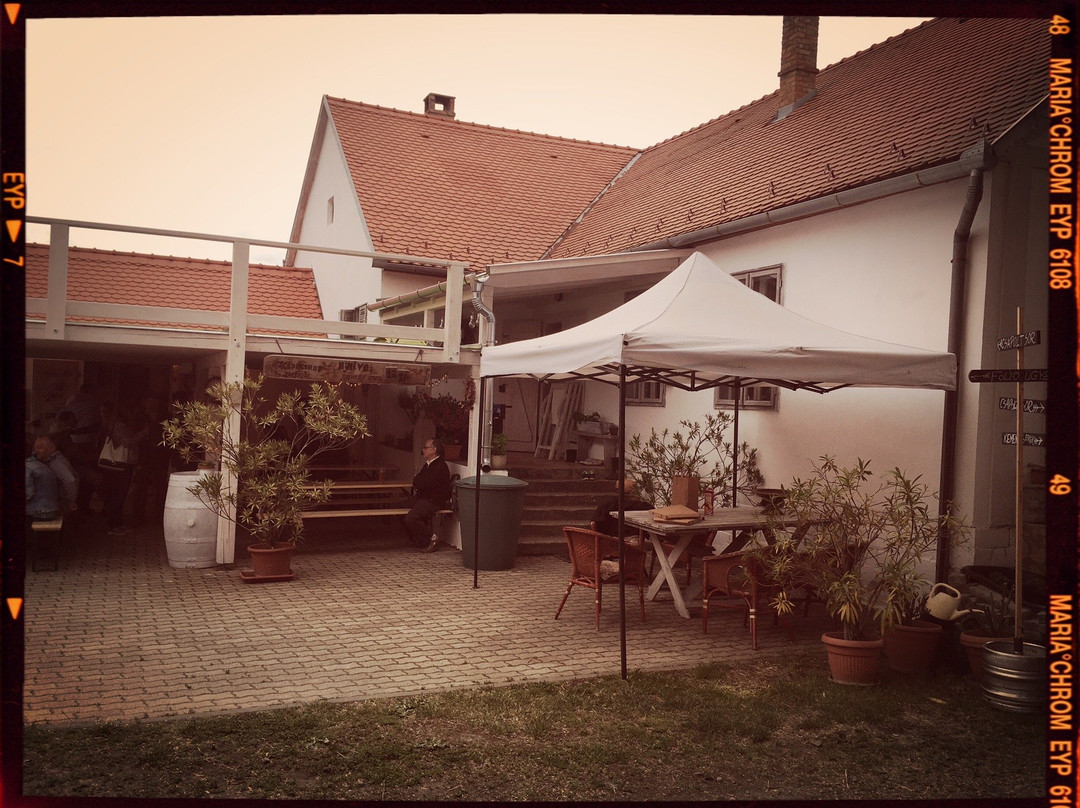 sörfőzde kapucinus景点图片