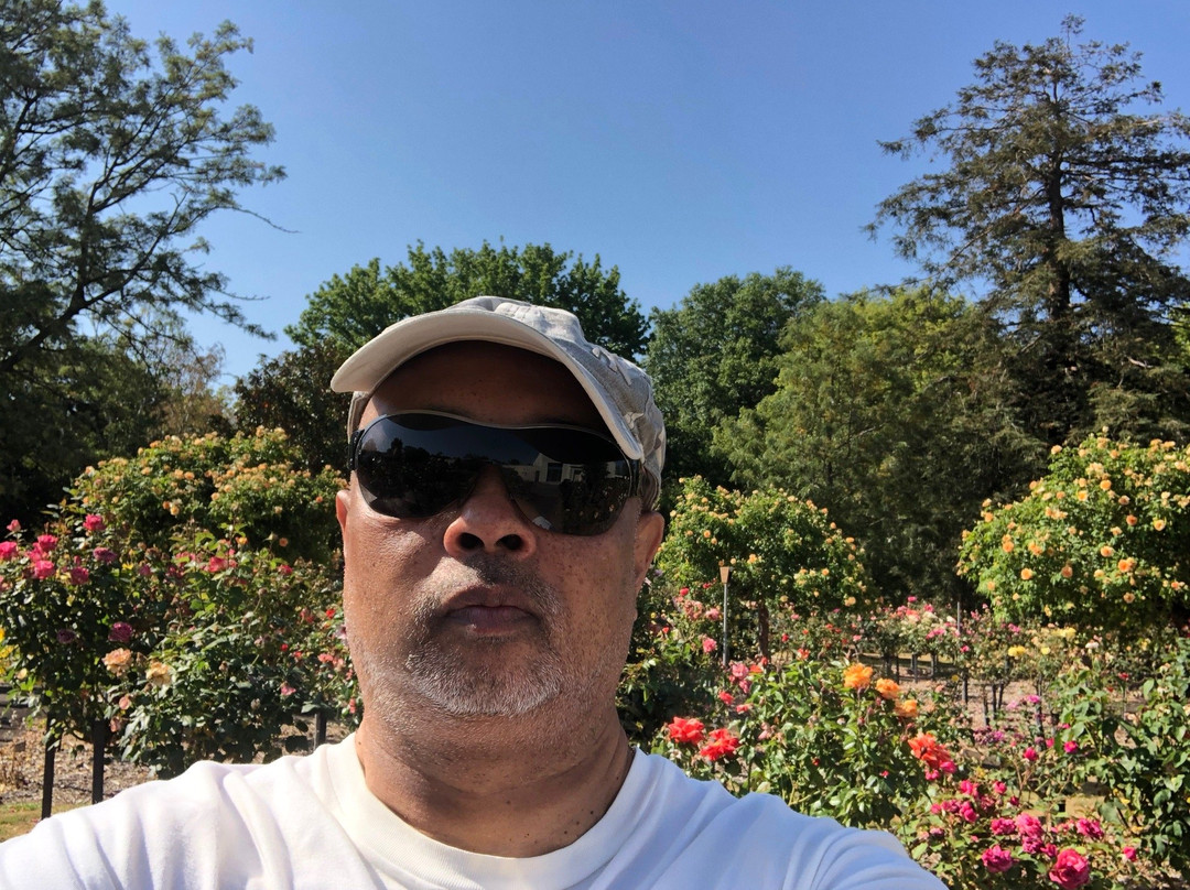 Springvale Botanical Cemetery景点图片