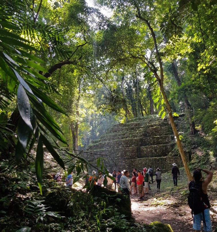 Zona Arqueológica de Yaxchilán景点图片