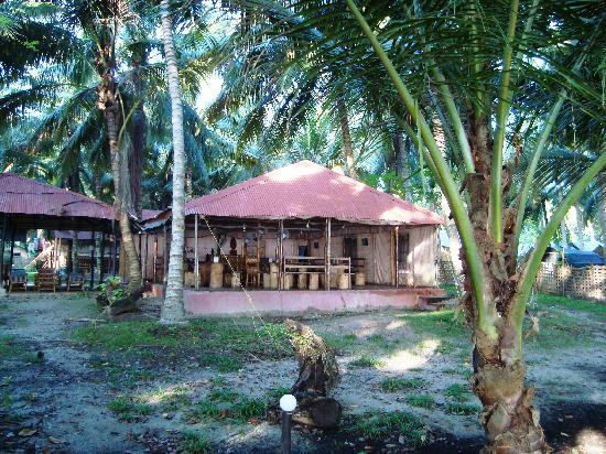 Island Vinnies Tropical Beach Cabana