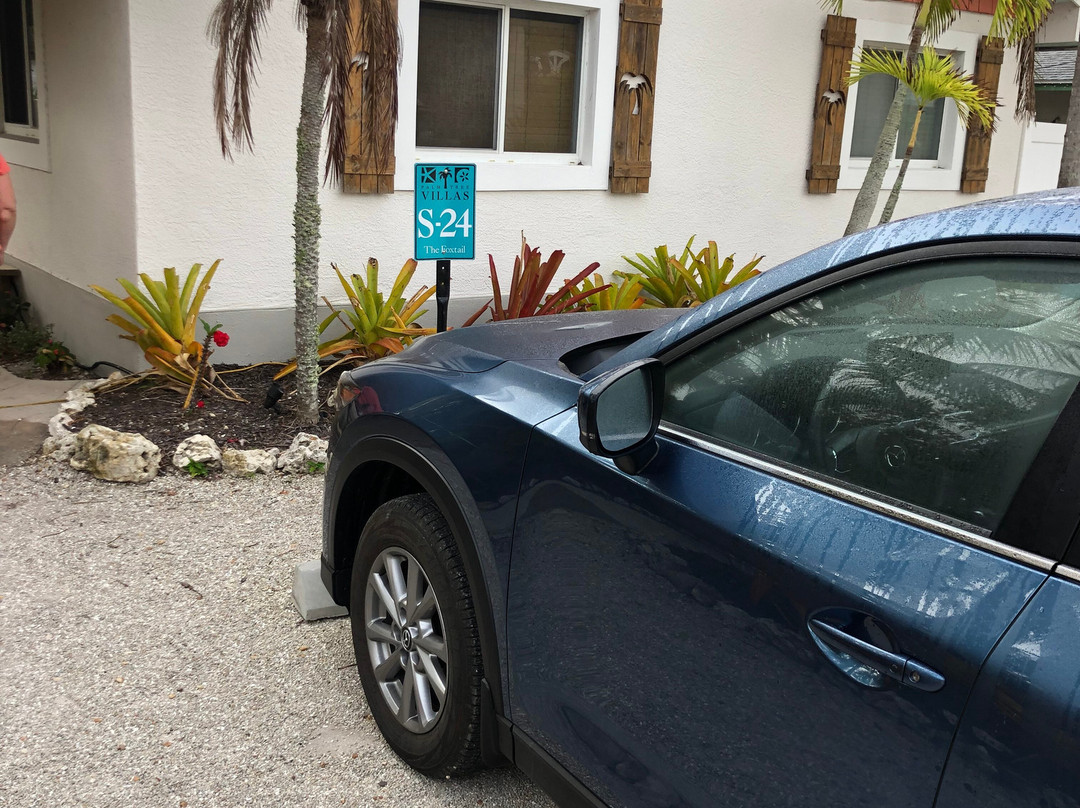 Palm Tree Villas主图