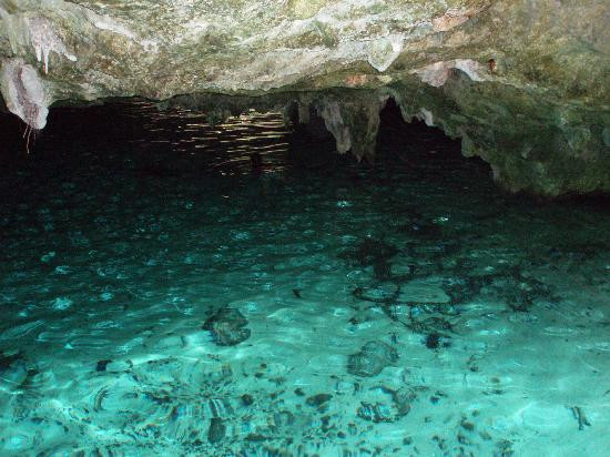 Gran Cenote-图伦必去景点