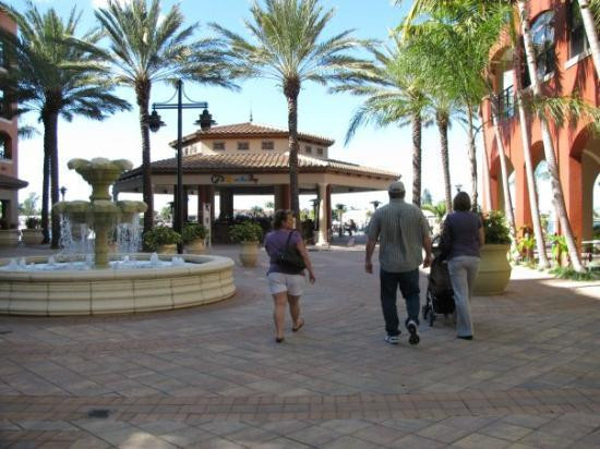 Marco Island Marina景点图片