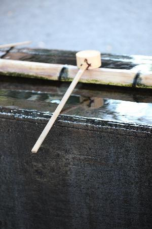 Okunitama Shrine-府中市必去景点