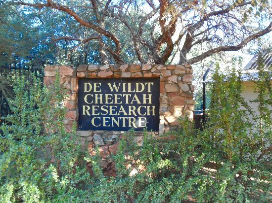 Ann van Dyk Cheetah Centre-哈特比斯普特必去景点