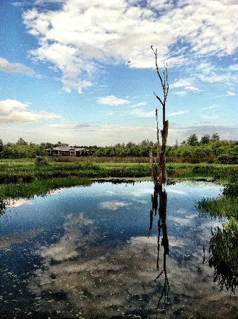 Green Cay Nature Center and Wetlands-博因顿海滩必去景点