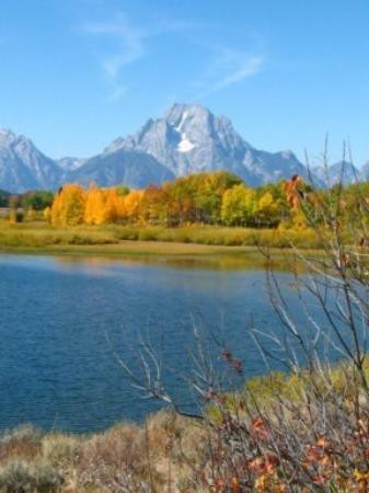 Wildlife Expeditions of Teton Science Schools-杰克逊必去景点