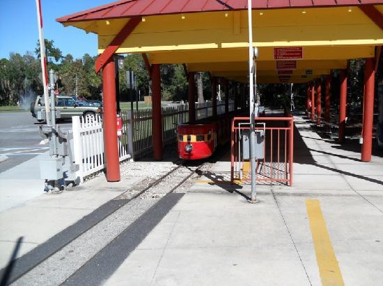 Central Florida Zoo & Botanical Gardens-桑福德必去景点