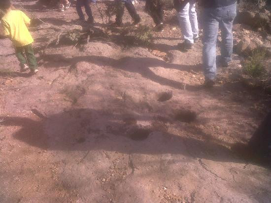 Robson's Ranch & Mining Camp-Wickenburg必去景点