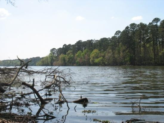 Huntsville State Park-Huntsville必去景点