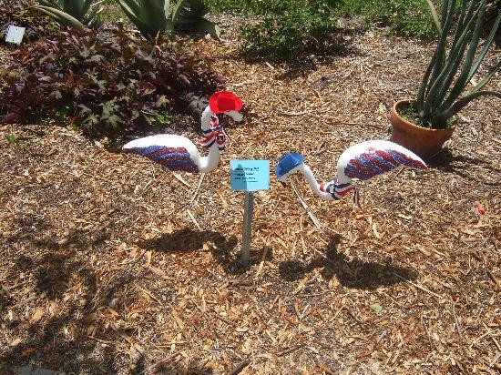 South Texas Botanical Gardens & Nature Center-科珀斯克里斯蒂市必去景点