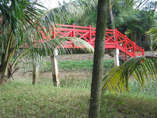 Red Bridge Cooking School & Restaurant - Hoi An Riverside-Cam Thanh必去景点