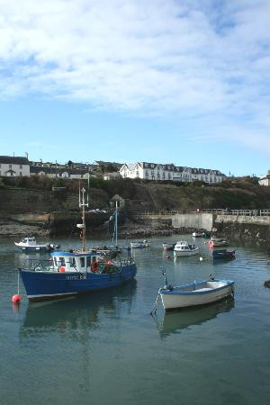 Ballycotton Cliff Walk-Ballycotton必去景点