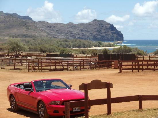 CJM Country Stables-可洛亚必去景点