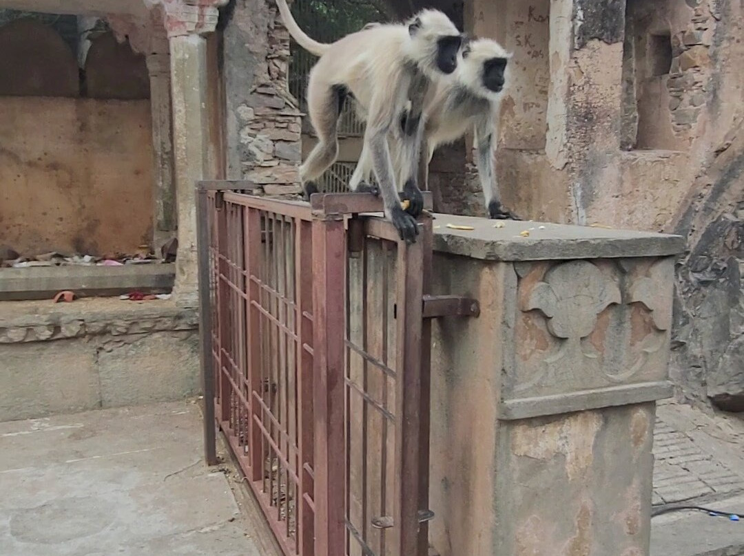 Limra Private Tours-斋蒲尔必去景点