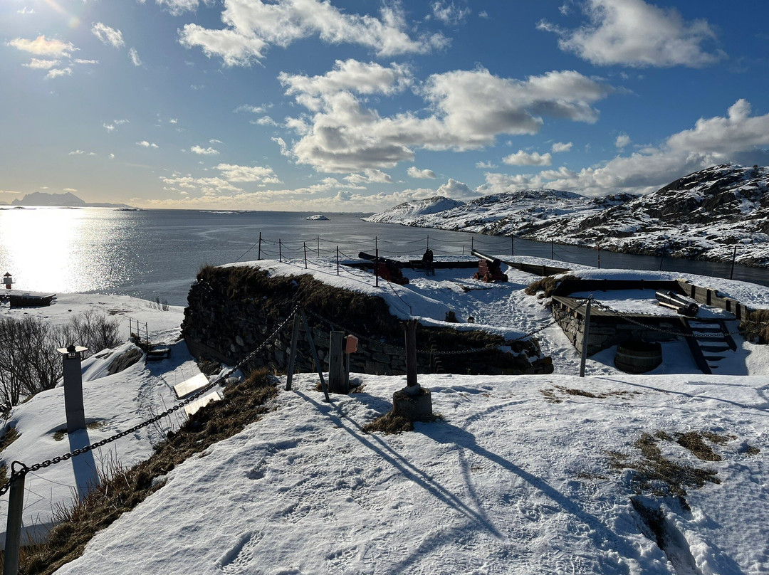 Nyholmen Skandse景点图片