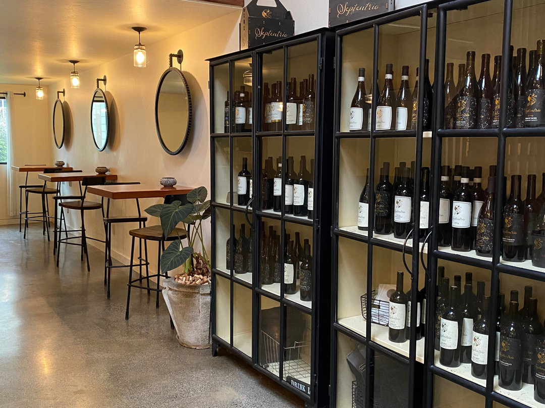 Septentrio Winery景点图片