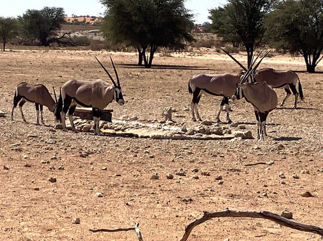 卡拉嘎地跨界公园-阿平顿必去景点