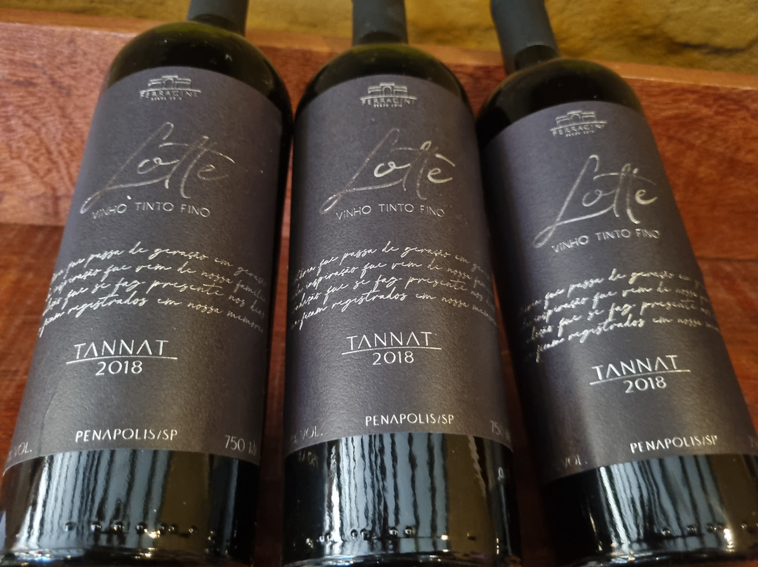 Vinicola Ferracini-Penapolis必去景点