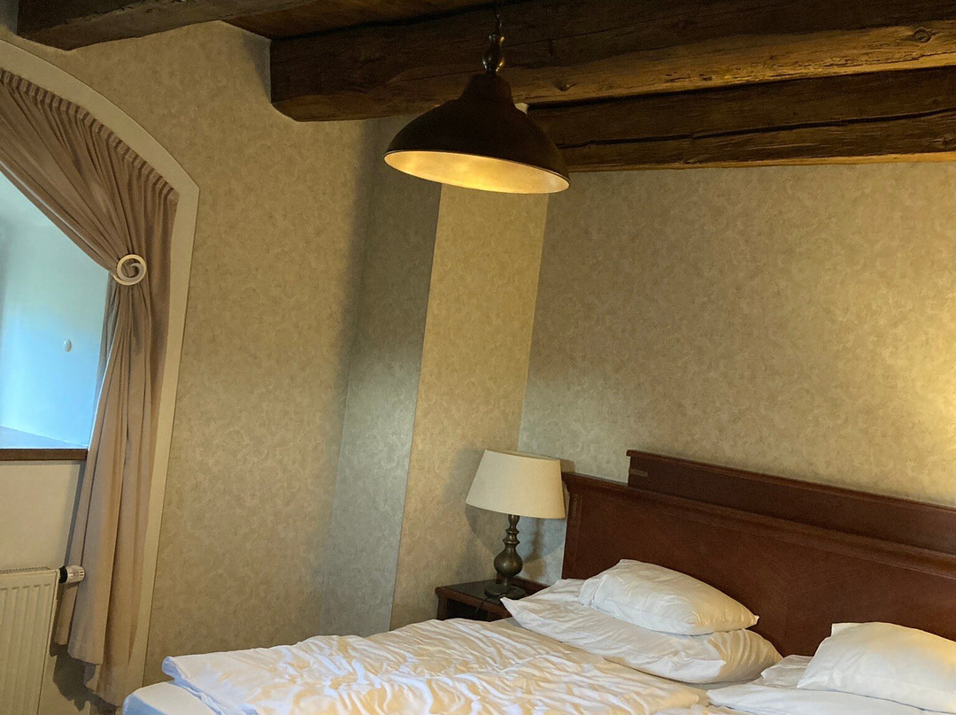 Pytloun Chateau Hotel Ctenice主图
