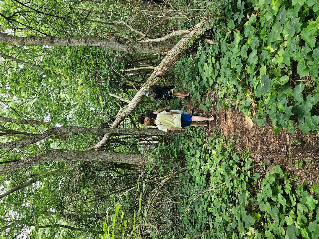 Jane Coates Wildflower Trail-Put in Bay必去景点