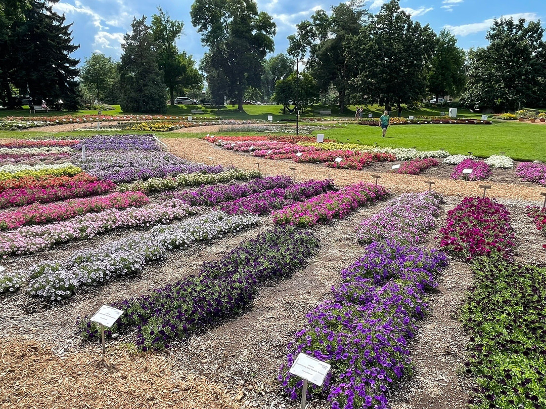 Annual Flower Trial Garden景点图片