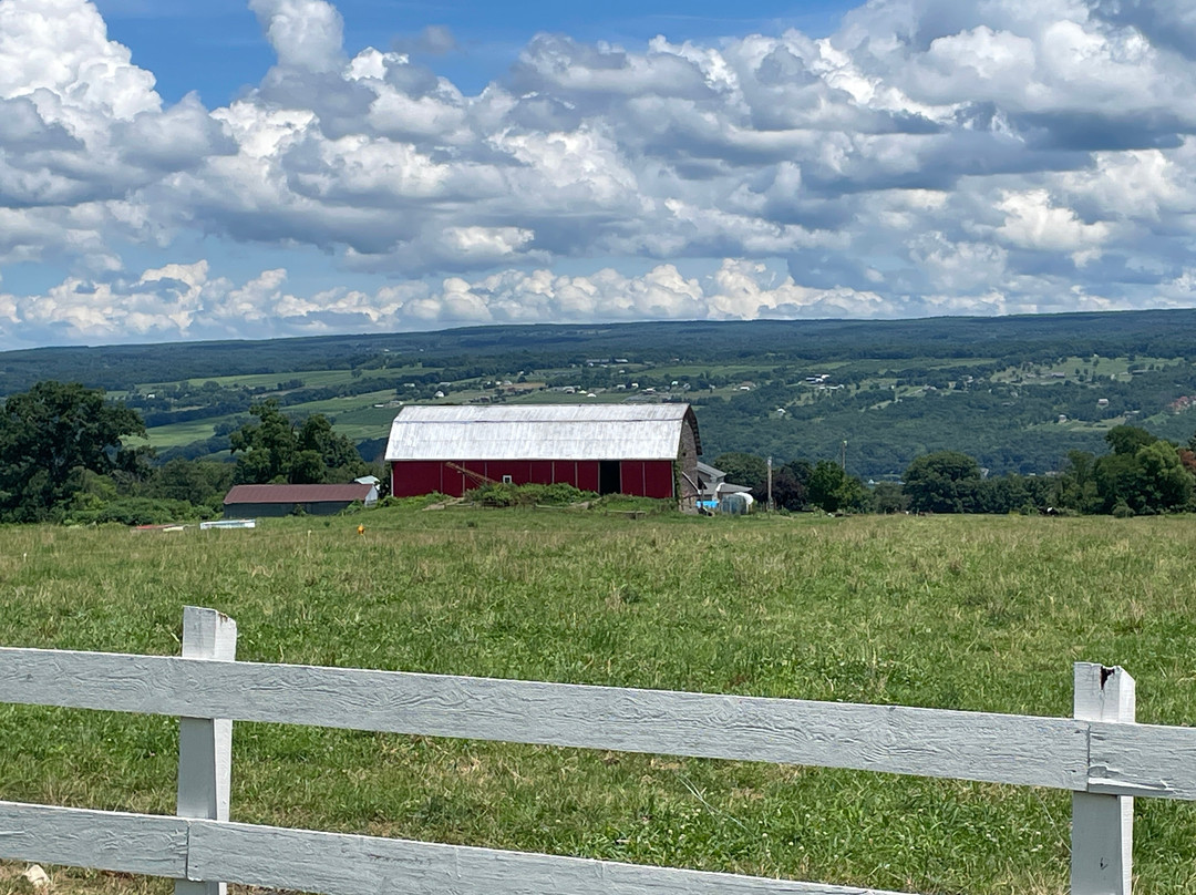 Shtayburne Farm景点图片