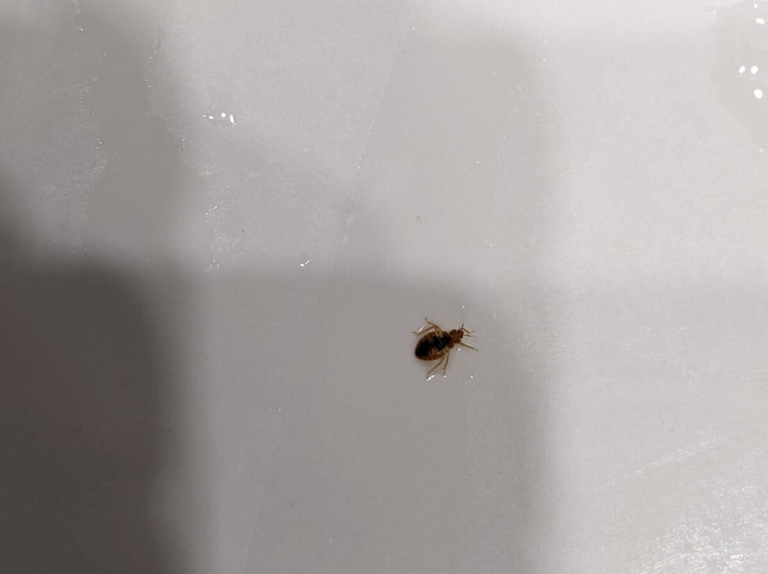 Hotel Rambla Figueres主图