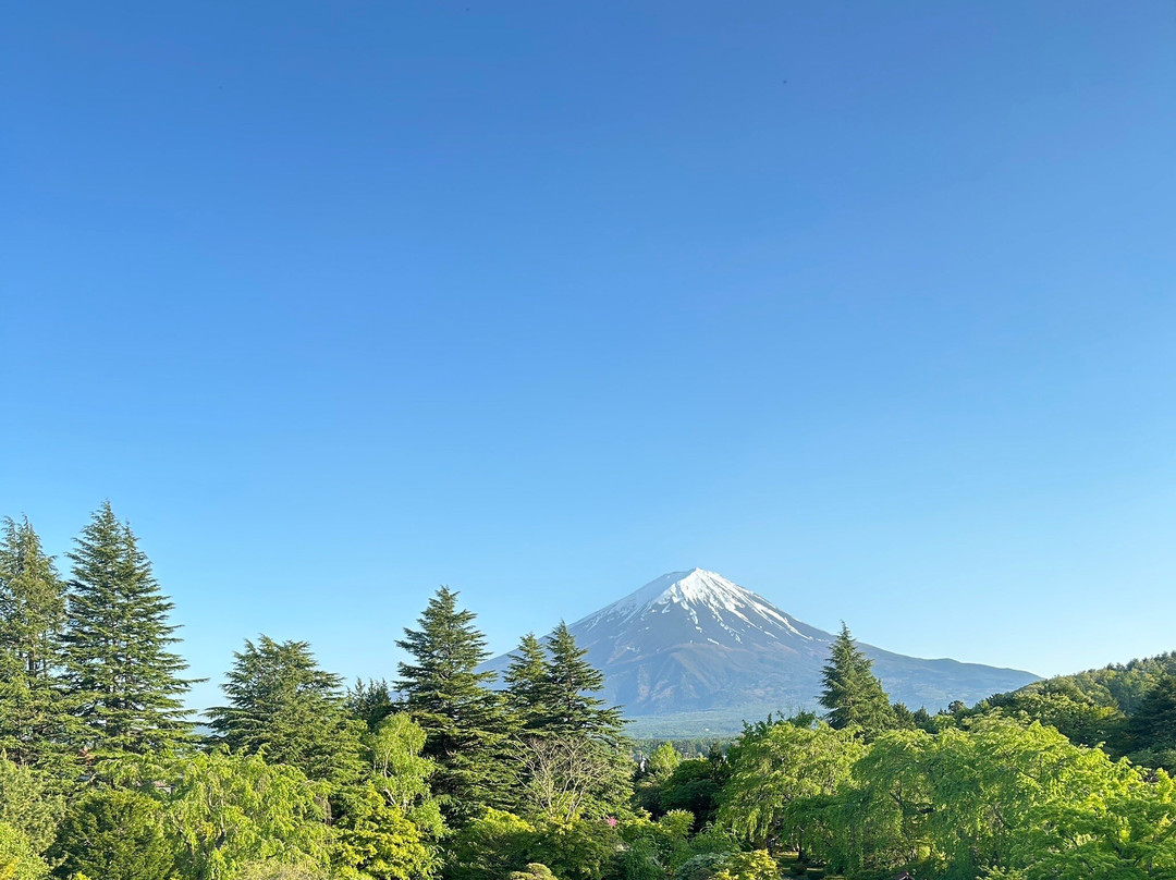 Fuji View Hotel Japanese Garden景点图片