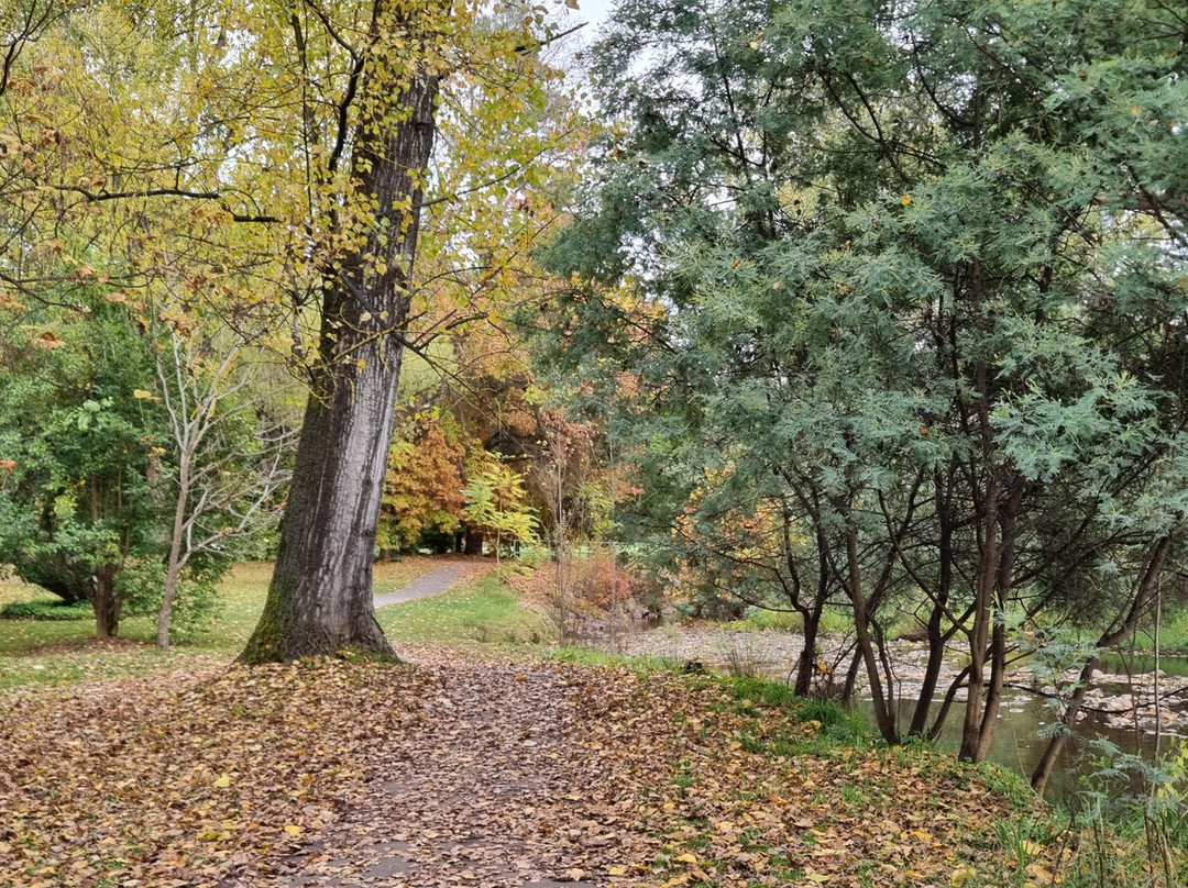 Canyon Walk-布赖特必去景点