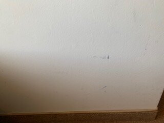 维内布鲁格最佳西方酒店主图