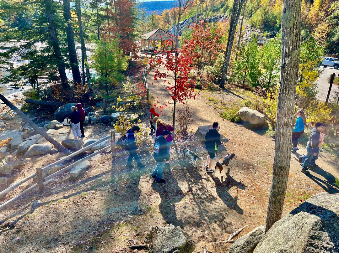 Lower Falls-Albany必去景点