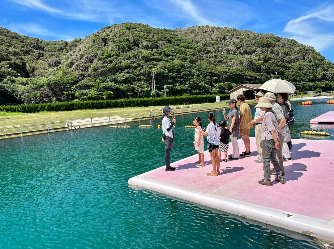 Iki Iruka Park & Resort-壹岐市必去景点