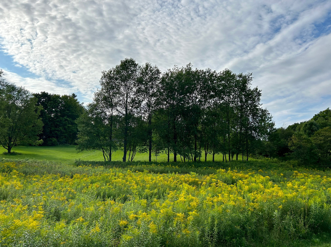 Domaine Dorchamps主图