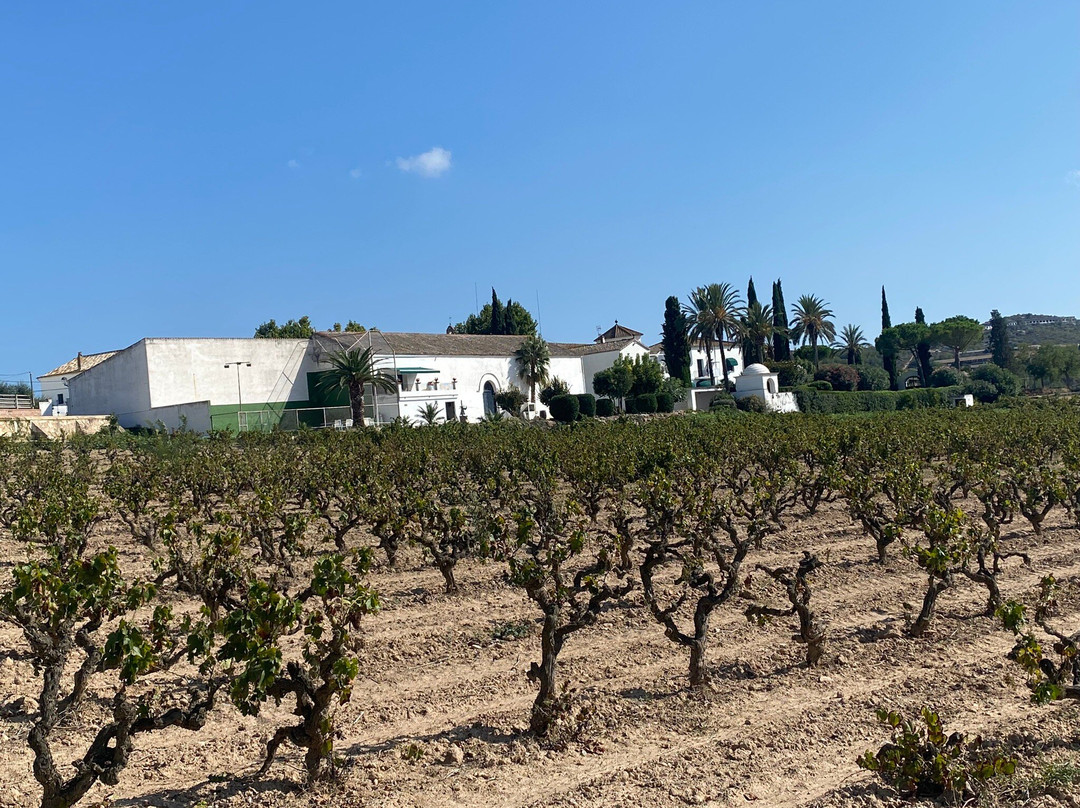 Transfers Soberti-巴塞罗那必去景点