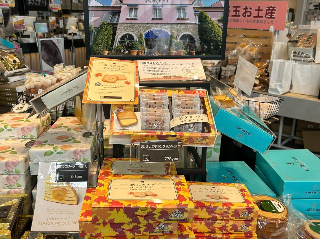 Iina Park Kawaguchi-川口市必去景点