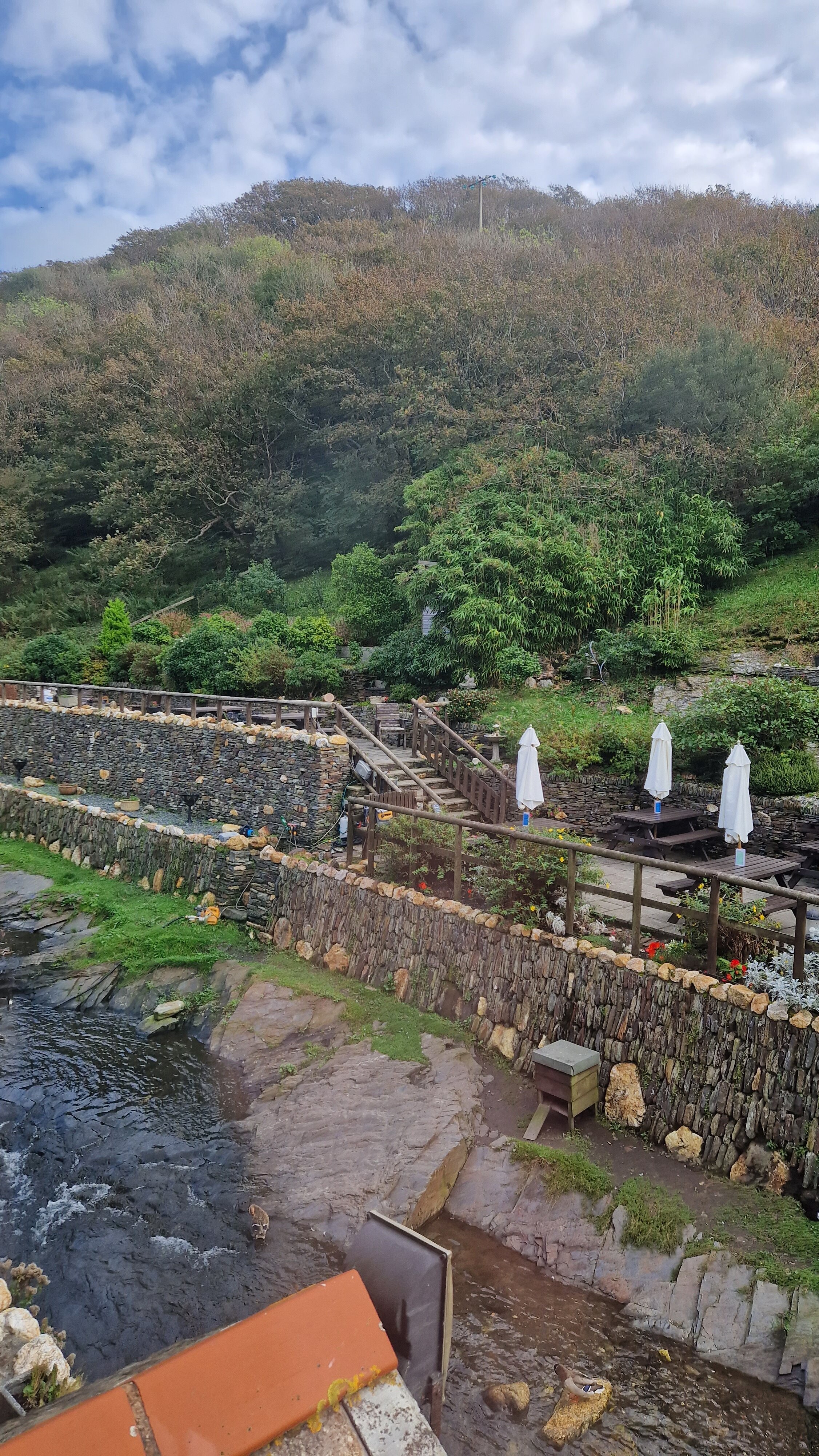 The Riverside-酒店景观