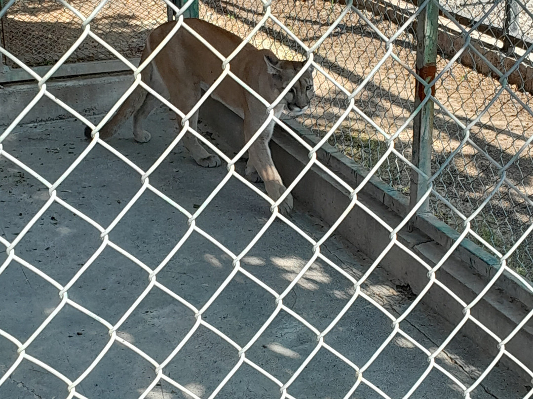 Zoologico de Moroleon景点图片