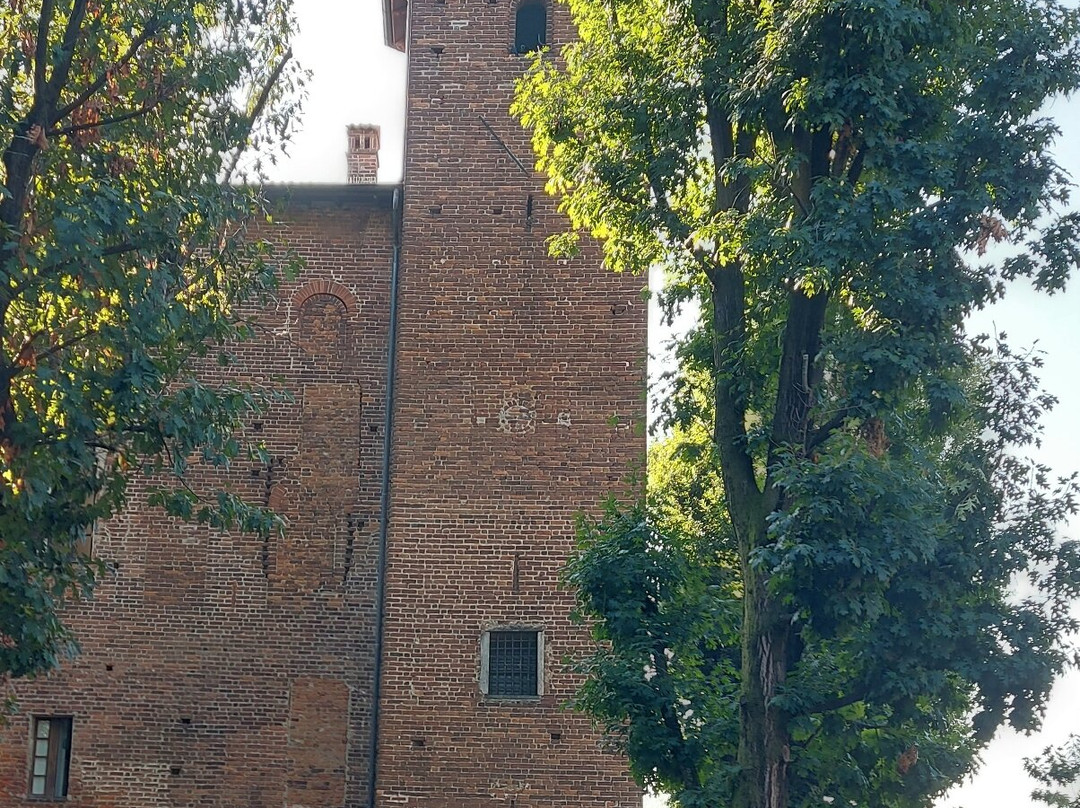 Castello Visconteo di Binasco景点图片