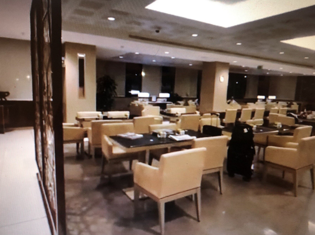 The Emirates Lounge景点图片