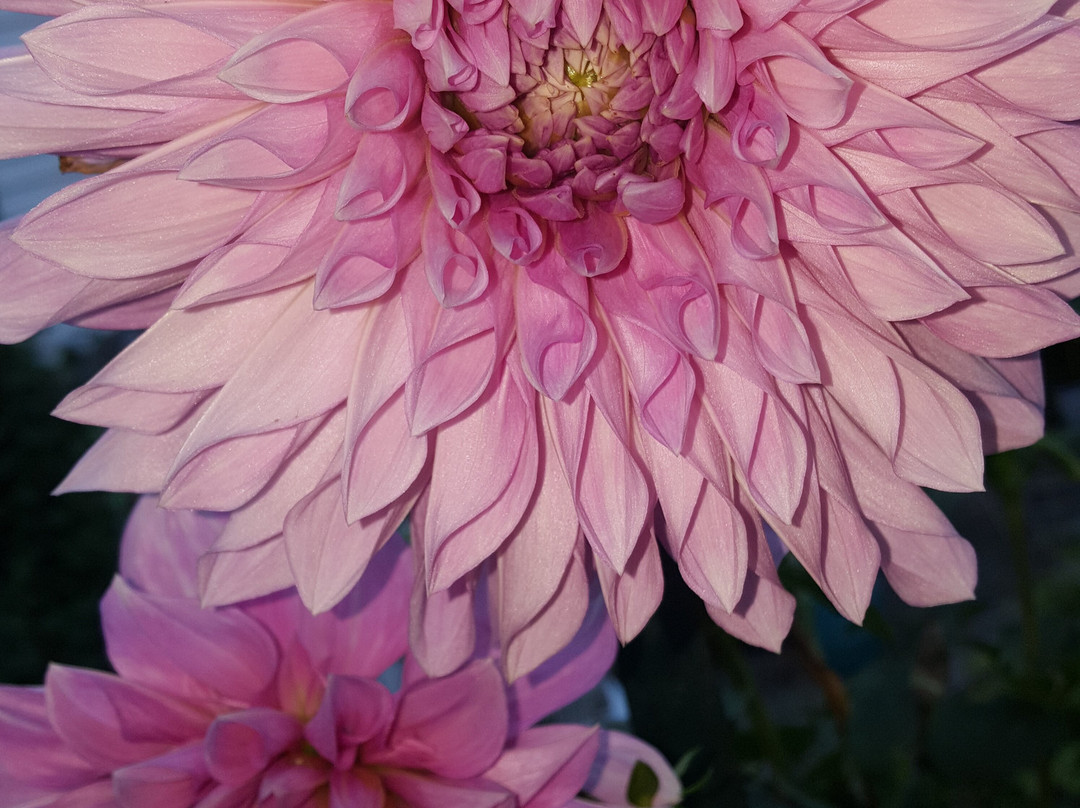 Bitter Sweet Bed & Breakfast主图