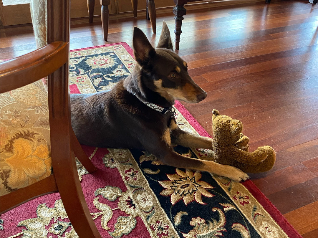 The Old School Bed and Breakfast主图