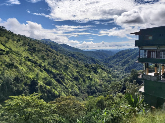 Green Lanka Tours (Galle)-加勒必去景点