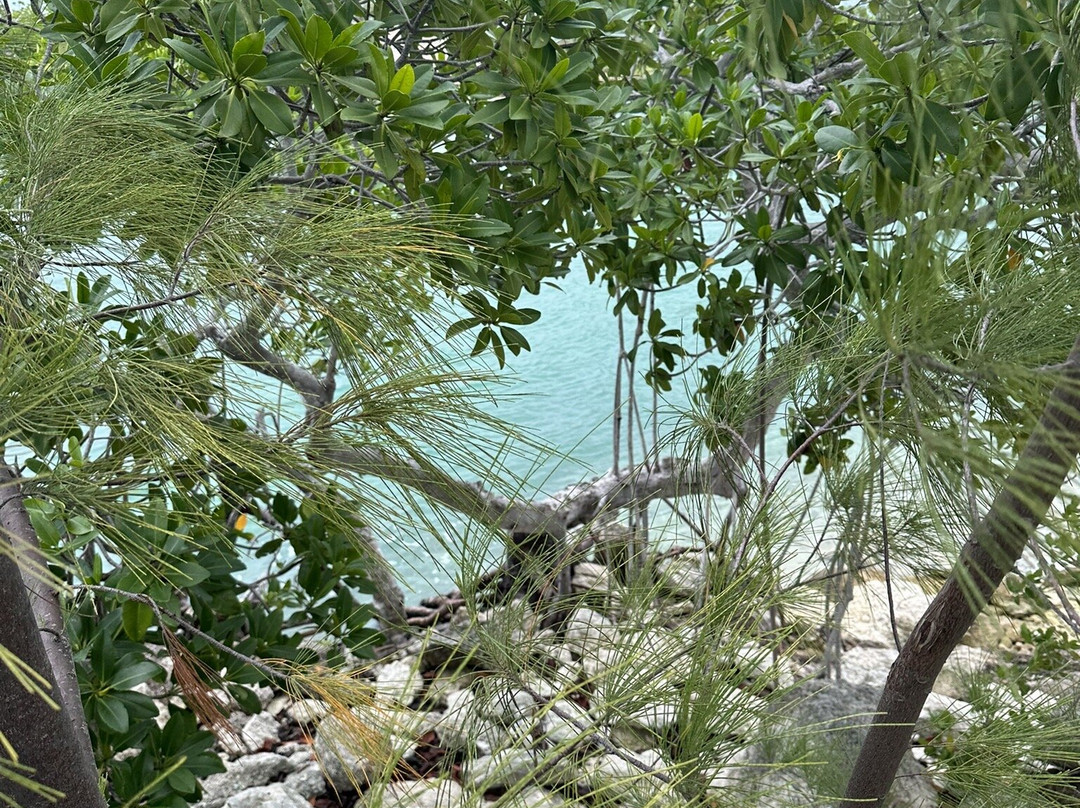 FUNKEY CHARTERS-基韦斯特必去景点