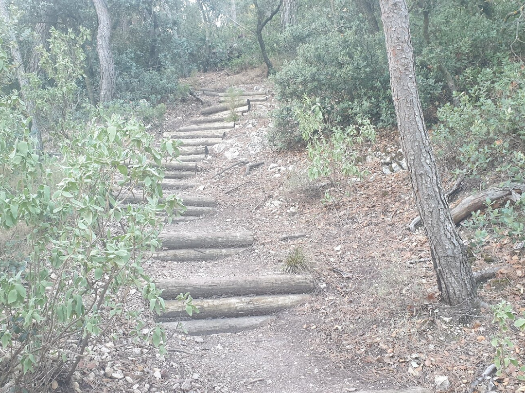 Sierra del Maigmó景点图片