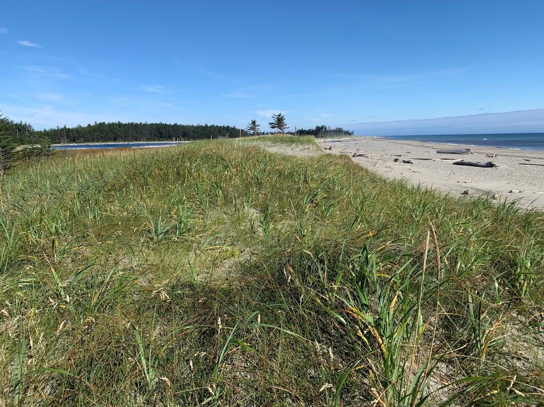 Cape Fife Trail-Masset必去景点