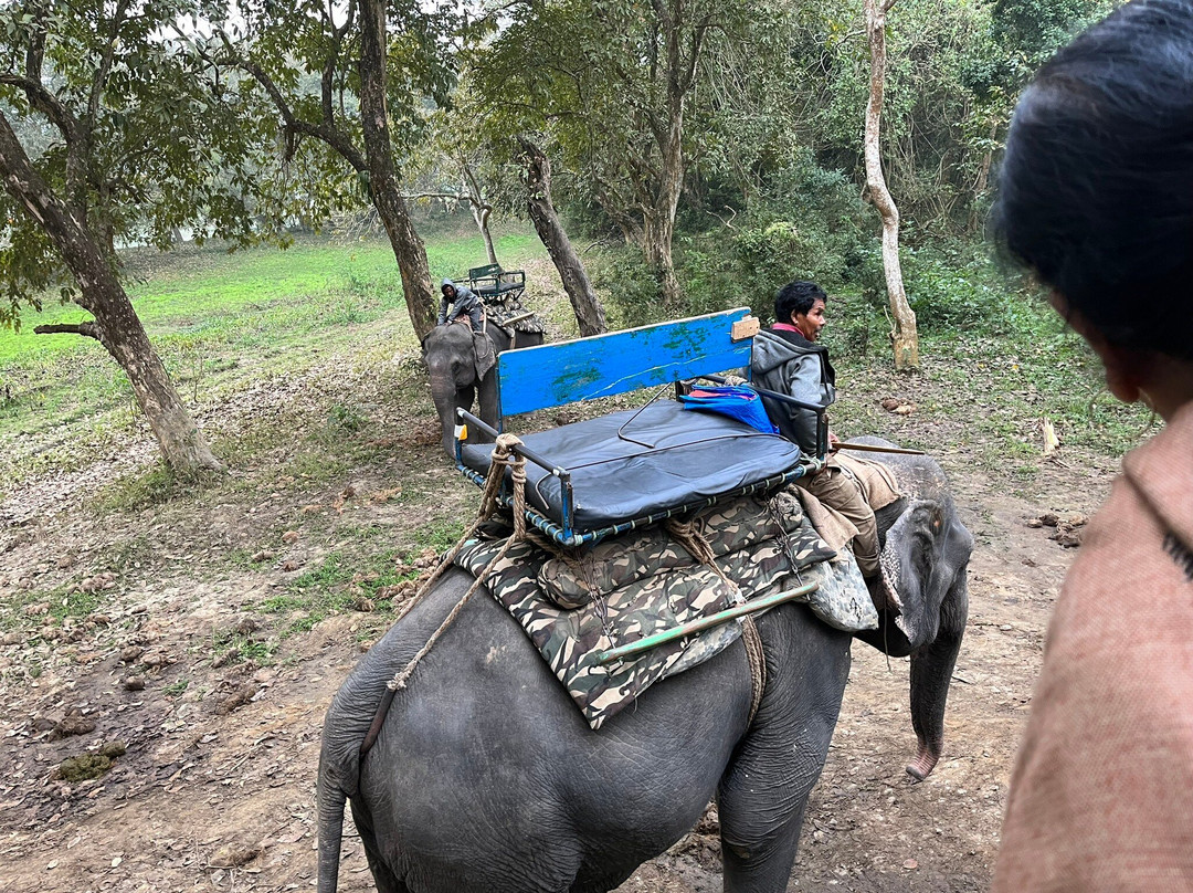 Kaziranga Adventures景点图片