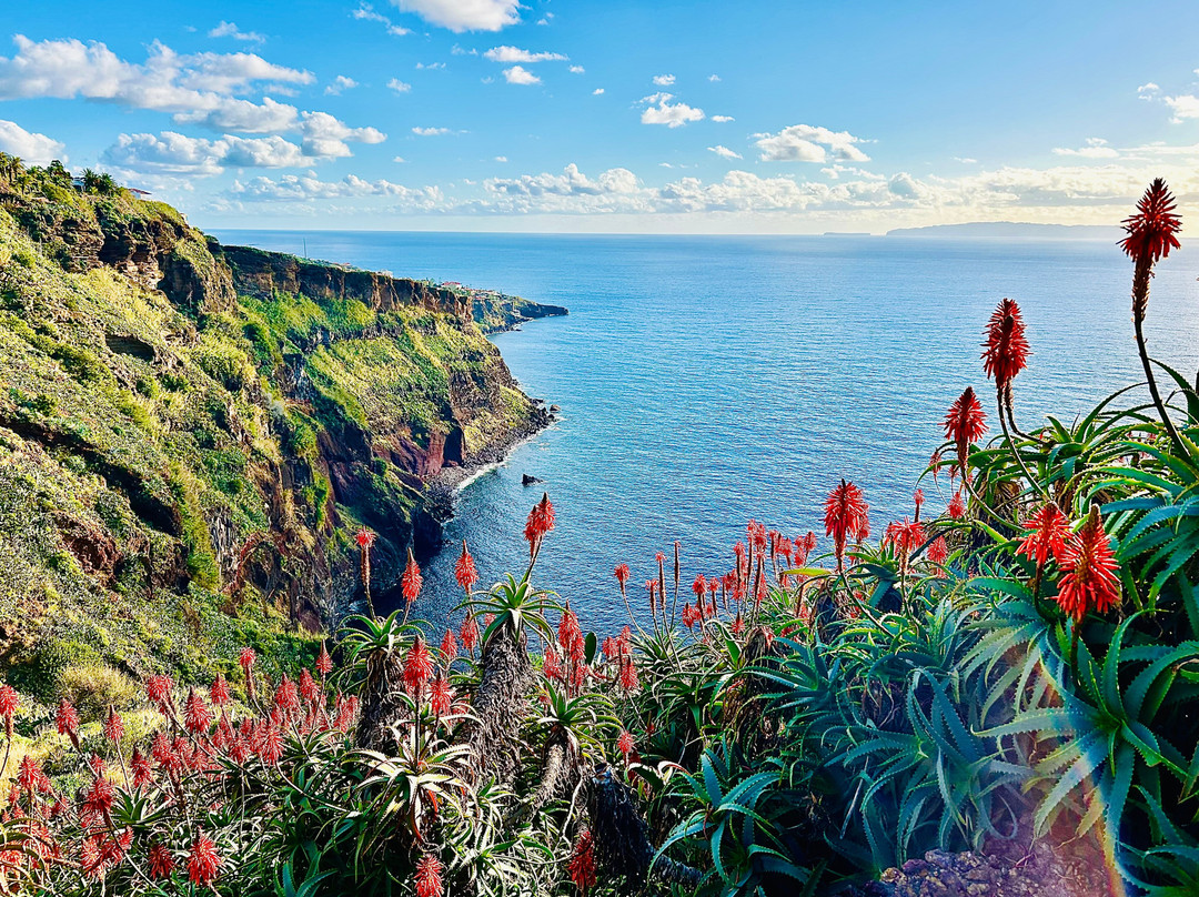 Portugal Travel Center景点图片